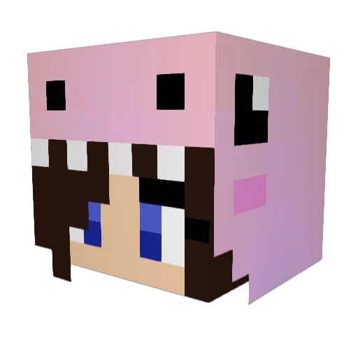ToNice Minecraft avatar head, 3D render