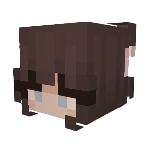 ToNieSzarrry Minecraft avatar head, 3D render