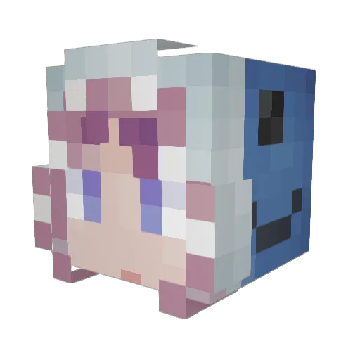 ToNite86 Minecraft avatar head, 3D render