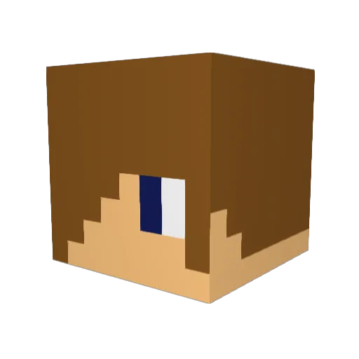 ToNyC98 Minecraft avatar head, 3D render