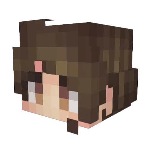 ToNyCcE Minecraft avatar head, 3D render