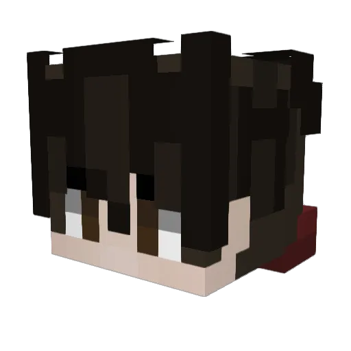 ToPa1705 Minecraft avatar head, 3D render