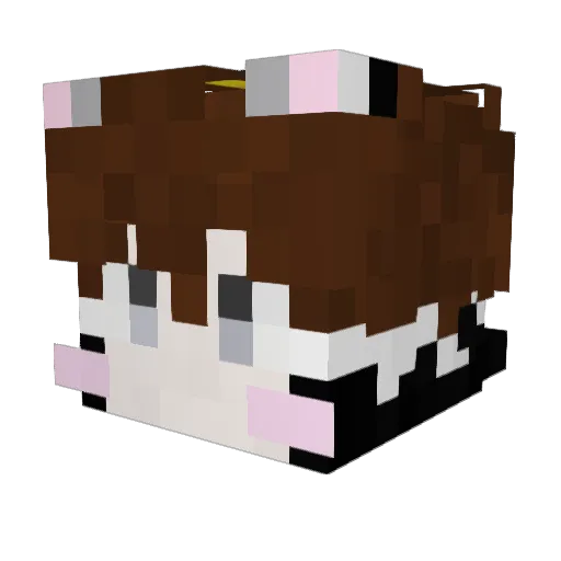 ToPenKun0220 Minecraft avatar head, 3D render