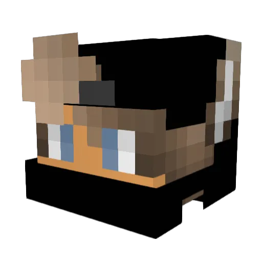 ToPiTu Minecraft avatar head, 3D render