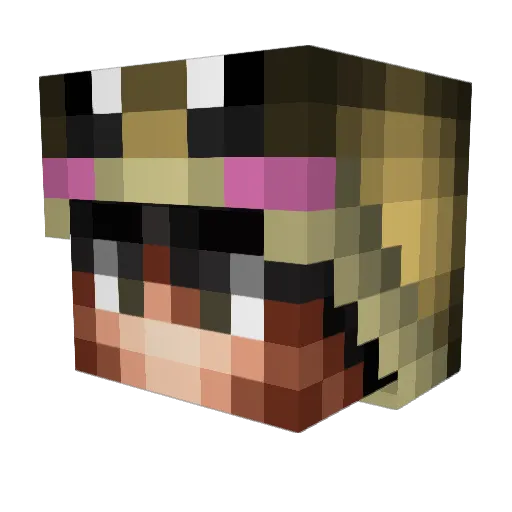 ToRetardedFor69 Minecraft avatar head, 3D render