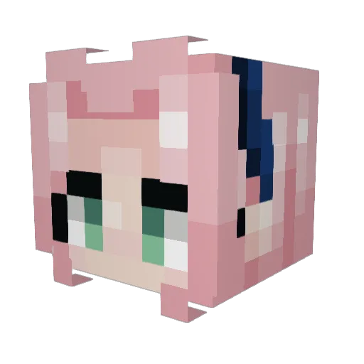 ToTa1429 Minecraft avatar head, 3D render