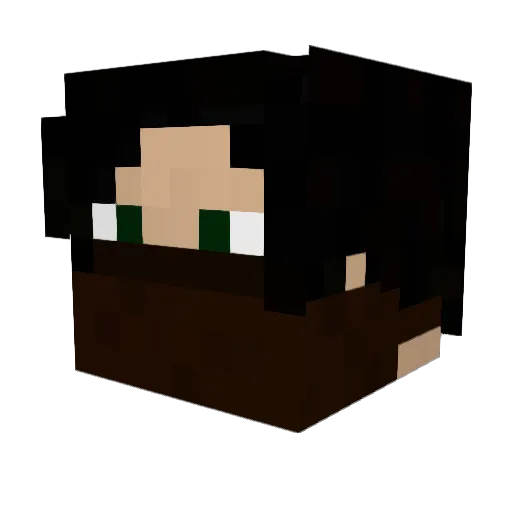 ToTheHighestLPs Minecraft avatar head, 3D render