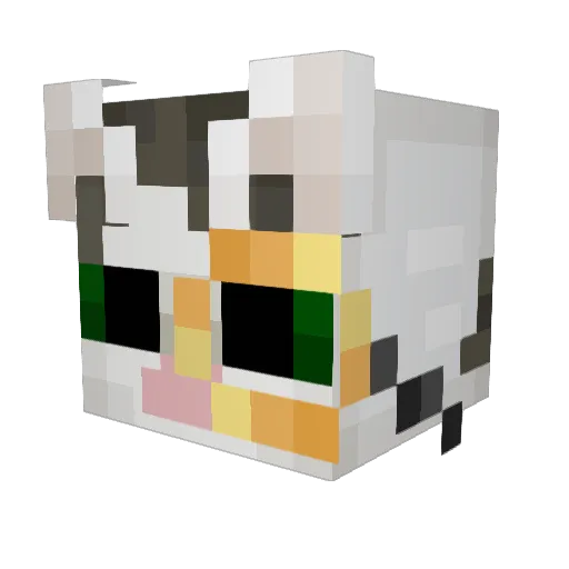 ToXiCxSaVaGe699 Minecraft avatar head, 3D render