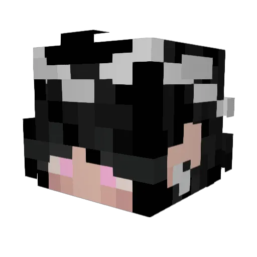 ToXicBeatZ06 Minecraft avatar head, 3D render