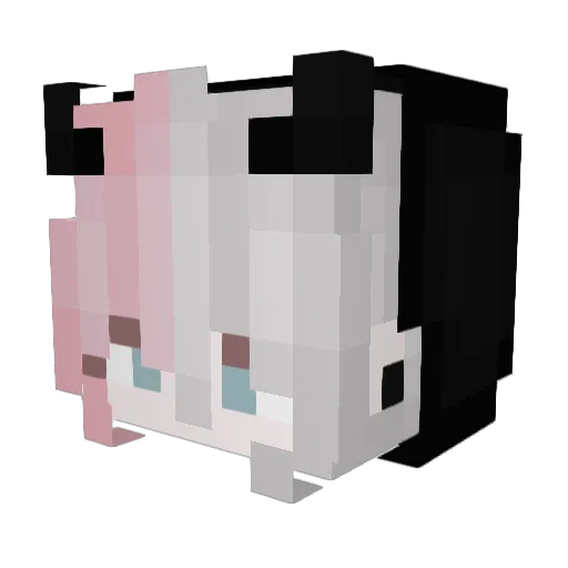 ToXicCuddlez Minecraft avatar head, 3D render