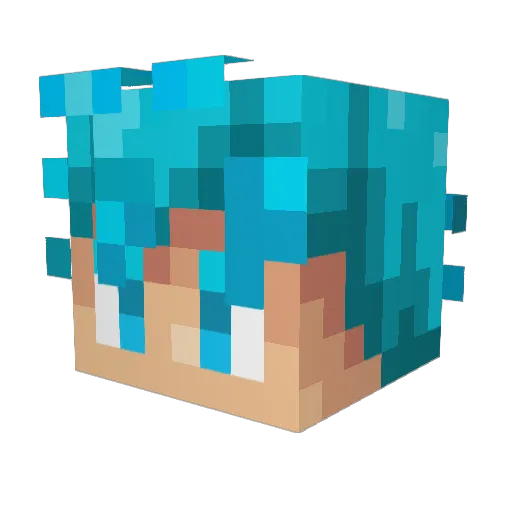 ToXicRainBowz Minecraft avatar head, 3D render