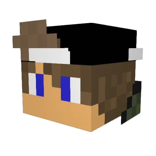 To_xa Minecraft avatar head, 3D render