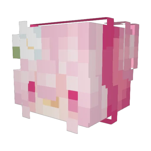 Toa5tyXP Minecraft avatar head, 3D render