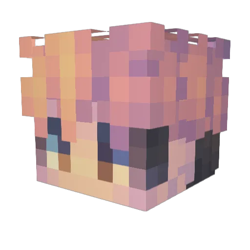 Toa__ Minecraft avatar head, 3D render