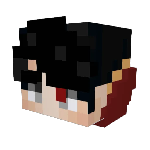 Toad201 Minecraft avatar head, 3D render