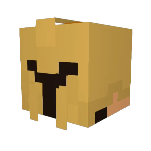 Toad2396 Minecraft avatar head, 3D render