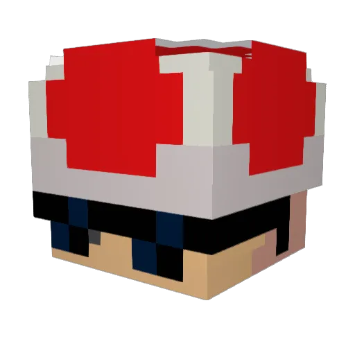 ToadEatSock Minecraft avatar head, 3D render