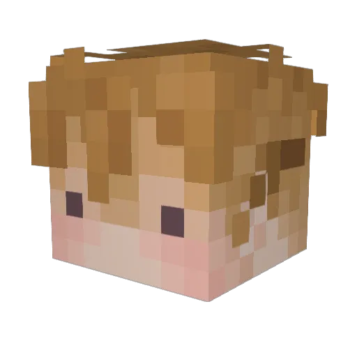 ToadSocks Minecraft avatar head, 3D render