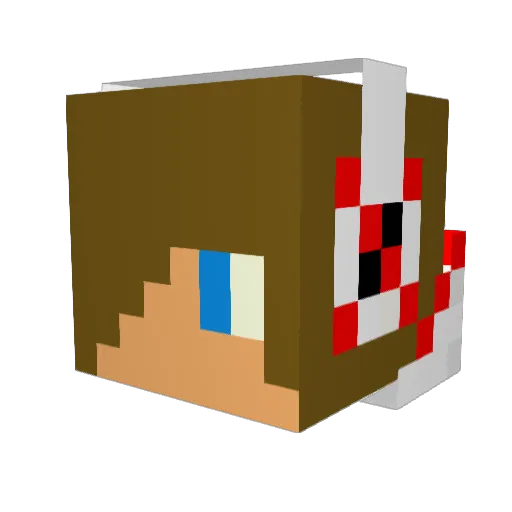 Toad_ridder Minecraft avatar head, 3D render
