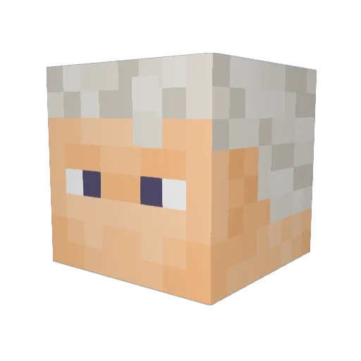 ToadaJr Minecraft avatar head, 3D render