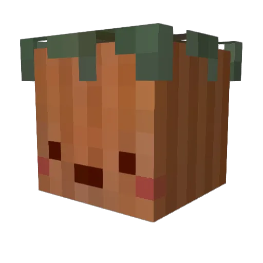 Toadboy32 Minecraft avatar head, 3D render