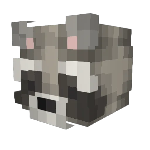 Toadd821 Minecraft avatar head, 3D render