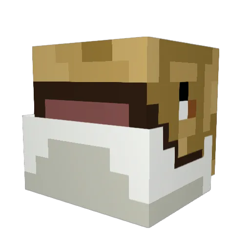 Toaddude07 Minecraft avatar head, 3D render
