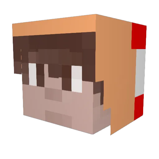 ToadenationNr1 Minecraft avatar head, 3D render