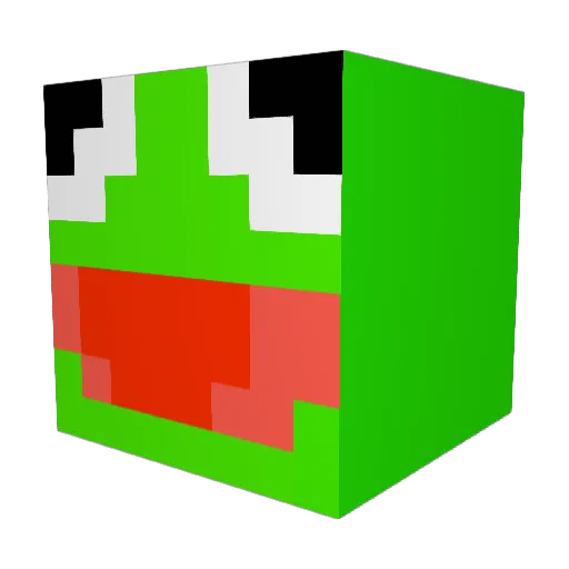 Toaderr_ Minecraft avatar head, 3D render