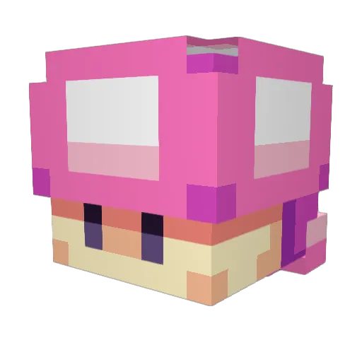 ToadetteGirl Minecraft avatar head, 3D render