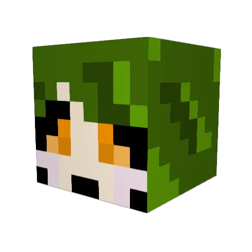 ToadieLee Minecraft avatar head, 3D render
