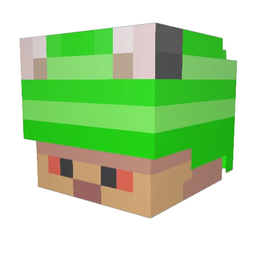 ToadmagKekse Minecraft avatar head, 3D render