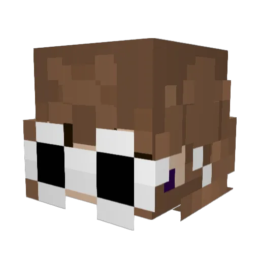 Toadpanda Minecraft avatar head, 3D render