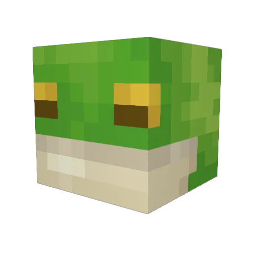 ToadxYT Minecraft avatar head, 3D render