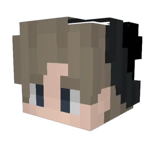 Toady2801 Minecraft avatar head, 3D render