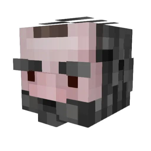 Toadz717 Minecraft avatar head, 3D render