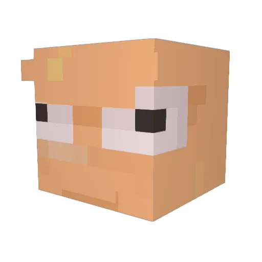 Toafi Minecraft avatar head, 3D render