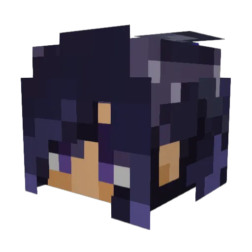 Toakiri Minecraft avatar head, 3D render