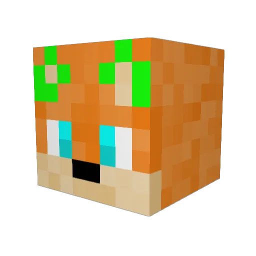 Toamins Minecraft avatar head, 3D render