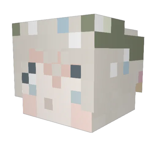 Toano_ Minecraft avatar head, 3D render