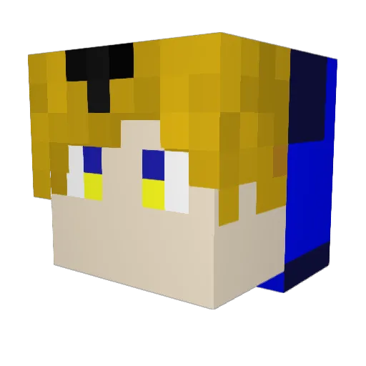 Toapanman6561 Minecraft avatar head, 3D render