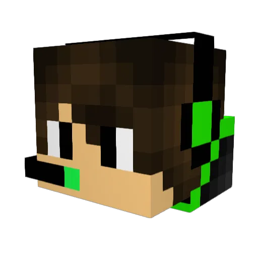 Toast0506 Minecraft avatar head, 3D render