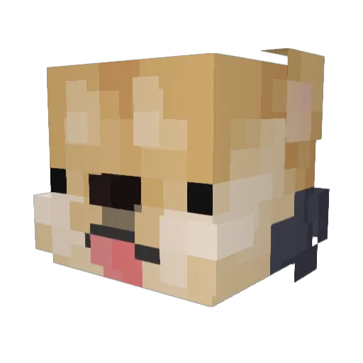 Toast0621 Minecraft avatar head, 3D render