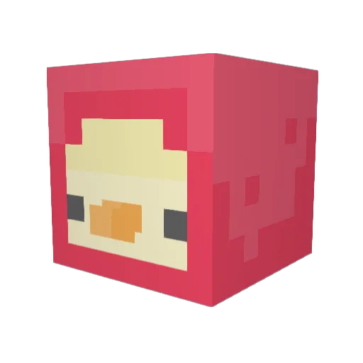 Toast1628 Minecraft avatar head, 3D render