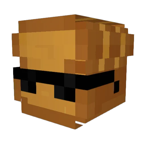 Toast1763 Minecraft avatar head, 3D render