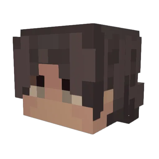 Toast2249 Minecraft avatar head, 3D render
