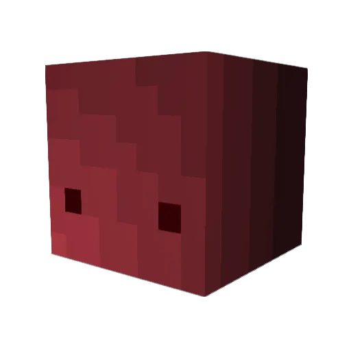 Toast46321 Minecraft avatar head, 3D render