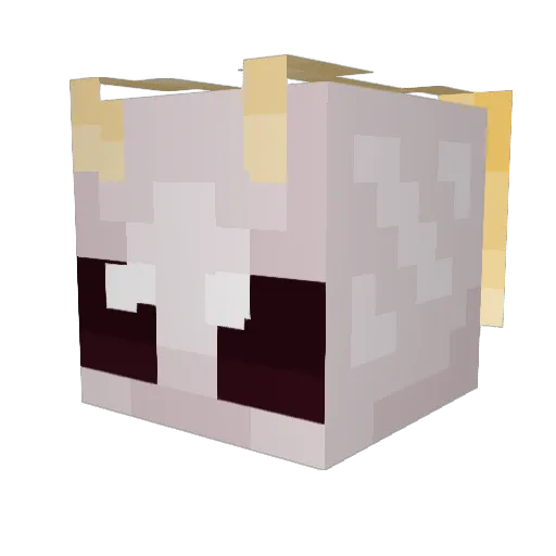 Toast4puppy Minecraft avatar head, 3D render