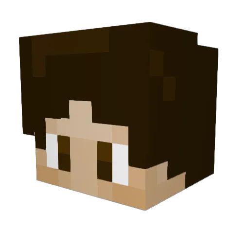 Toast56 Minecraft avatar head, 3D render