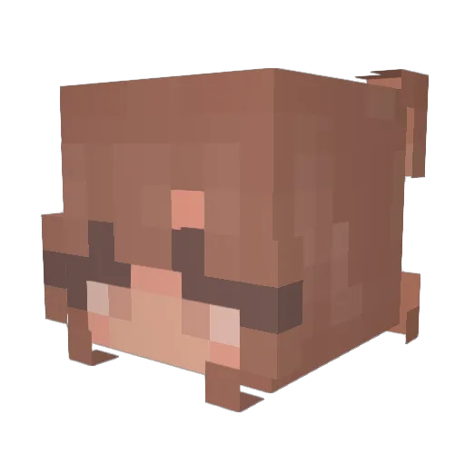 Toast6163 Minecraft avatar head, 3D render